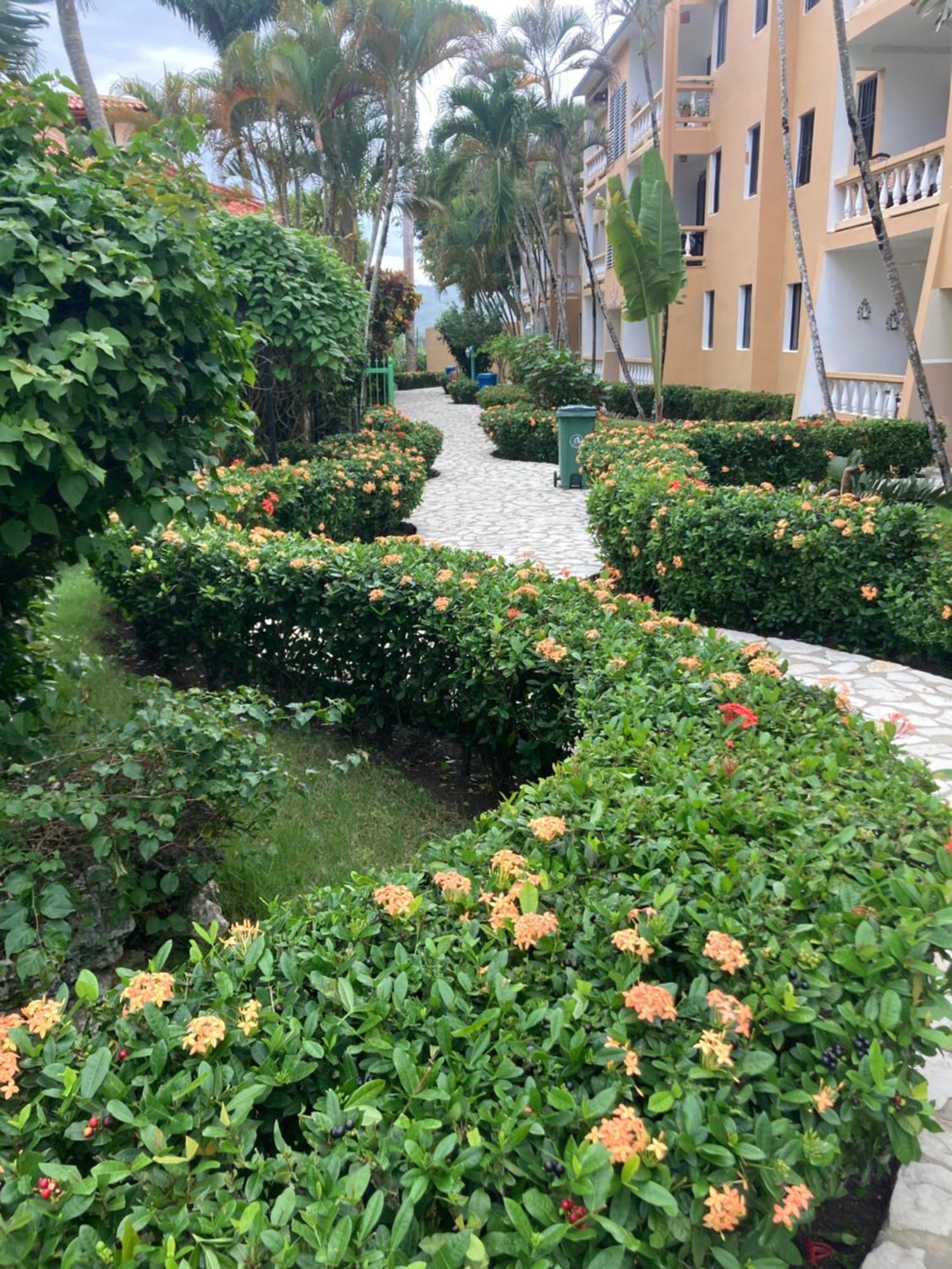 Cita Del Sol City Apartments Cabarete Bagian luar foto